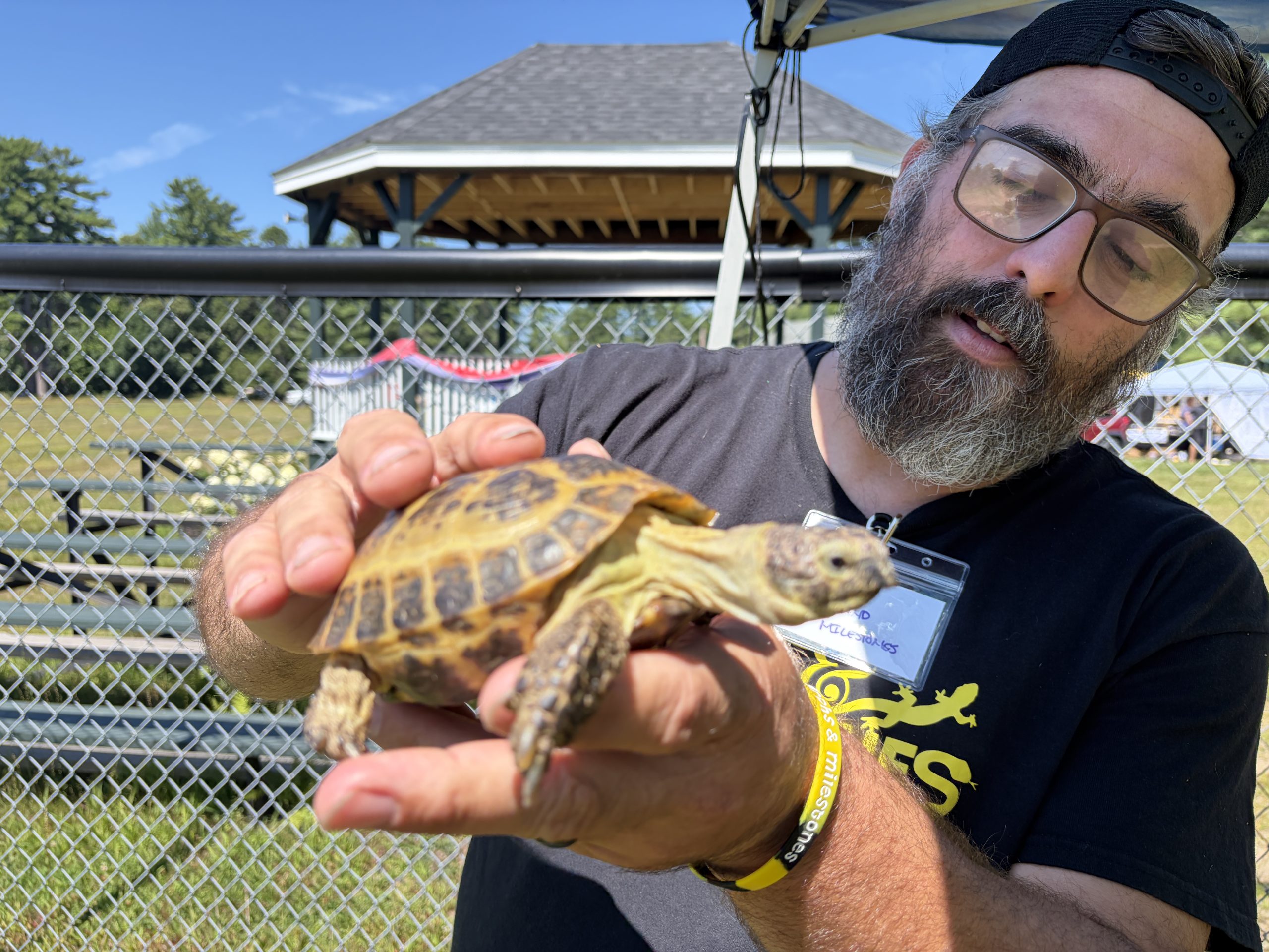 Animals find new homes at Greenfield Farmers and Crafters Market pet rescue - Monadnock Ledger-Transcript